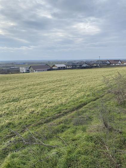 Teren INTRAVILAN Branistea GALATI 5000 m2 - 3