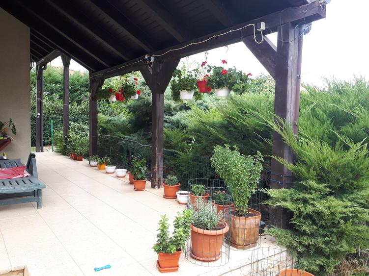 Casa individuala cu teren de 1000 mp. - 6