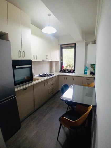 Apartament cu 2 camere decomandat, mobilat și utilat + 47 mp grădină proprie - 8
