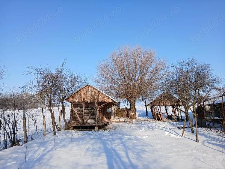 casa la tara sat Sili?tea com Vitane?ti jud Teleorman - 4