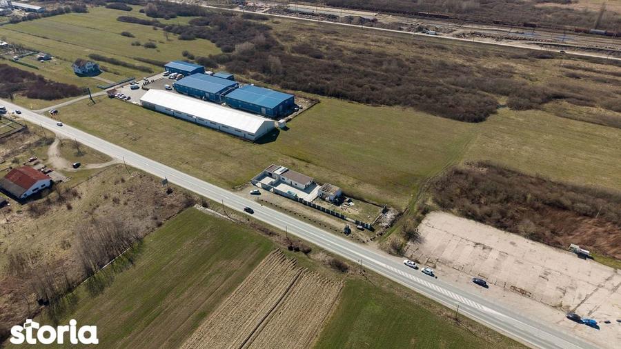 Teren extravilan de 7.000 mp langa Paltini? - 13