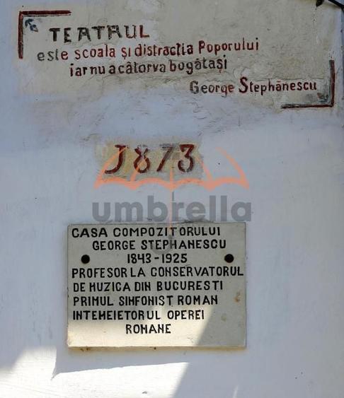 Conac - Casa Memoriala George Stephanescu - 9