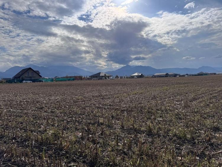 Teren dezvoltare rezidentiala Tarlungeni - zona Izvor - 2