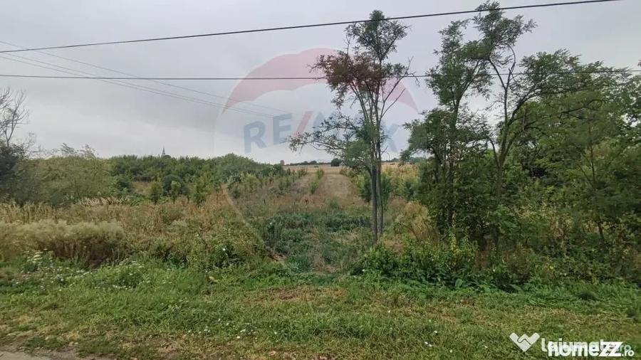 Teren de 2341 mp, în Uileacu de Munte