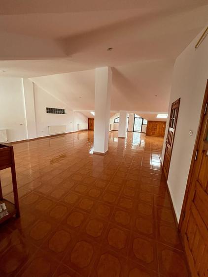 Proprietar 130 mp - Open Space - 1
