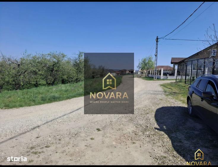 Teren toate utilitatile Paleu - 3