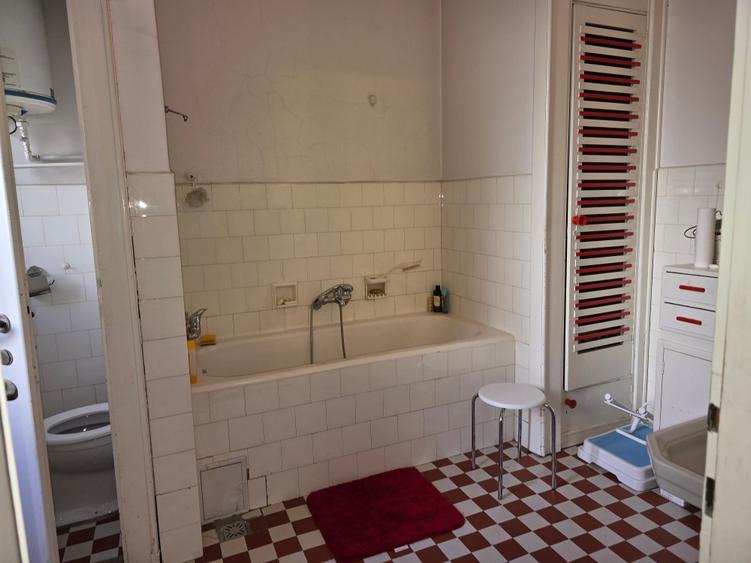 Apartament deosebit in centrul  Timisoarei, cu terasa si curte - 9