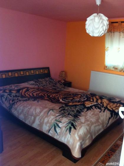 Casa 90 mp cu pamant 2650 mp in jud HD Cainelu de sus - 6