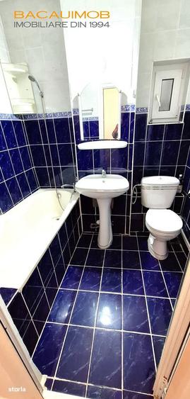 Chirie ap.2 camere, Ultracentral, Parcul Trandafirilor - 10