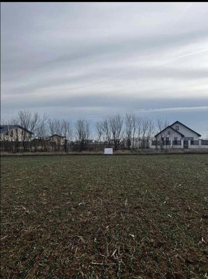 Teren Construcții extravilan de 4881 mp, în Corbeanca - 1