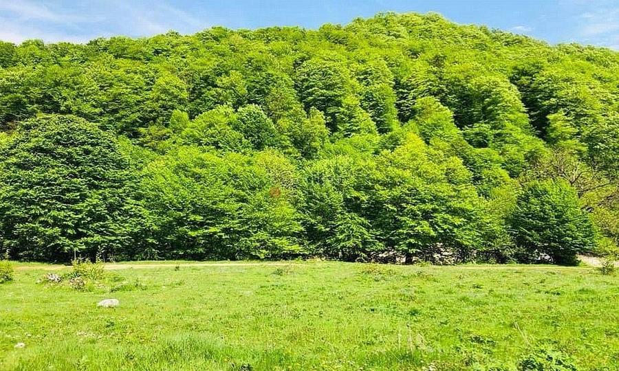 TEREN POTENTIAL TURISTIC - Rasnov - Cheisoara - 4