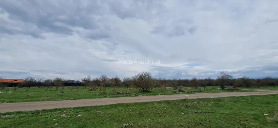 Teren Intravilan 800 mp Sanpetru Teren Intravilan 800 mp Sanpetru