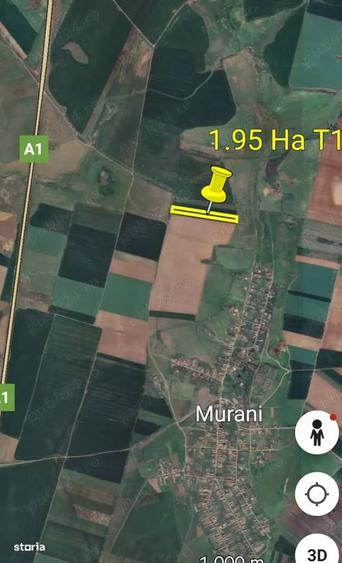 Vand teren arabil 1.95 ha Pischia-Murani - 1