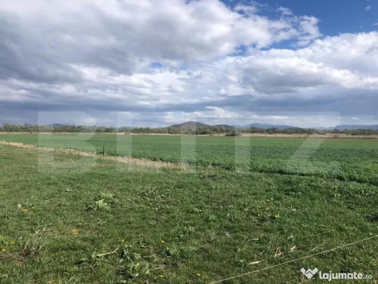 De vanzare teren extravilan 50.000 mp - 2