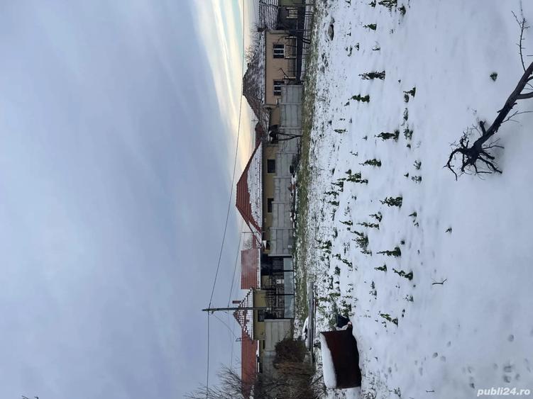 De vanzare cas tradi?ional in Cord u Bihor, dublu front stradal - 6