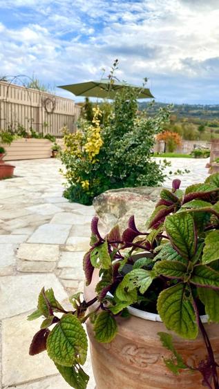 Casa 7 camere de vanzare in Cluj-Napoca, Borhanci ID 6824 - 8