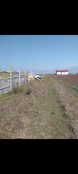 Vand schimb cu auto - 1