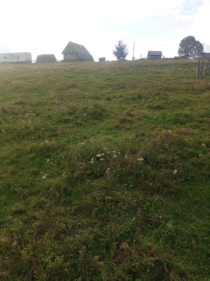 Vand teren intravilan si extravilan Sat Maguri - 2