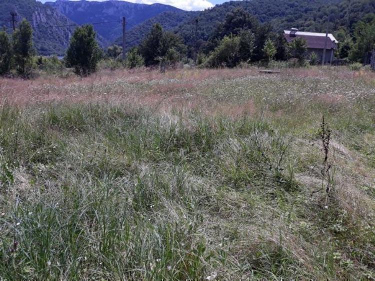 Mraconia,Clisura Dunarii unic in zona panorama deosebita comision 0! Teren de investitie - 4