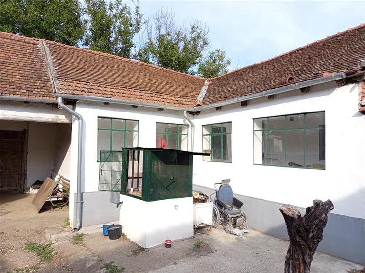 Ciuchici, Casa 7 Incaperi, 1151mp Teren, Pret Negociabil, ZERO COMISION - 3