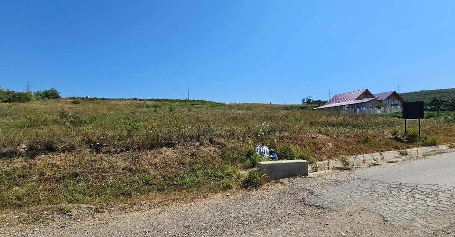 Teren 2.340mp, Dancas Miroslava, - 8