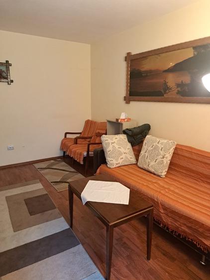 Garsonieră de închiriat – B-dul Take Ionescu – Etaj 1/10, mobilată și utilată - 9