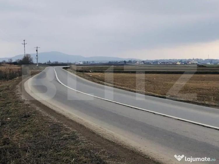 Teren extravilan de vanzare, 30.000 mp, cu potential de con - 5