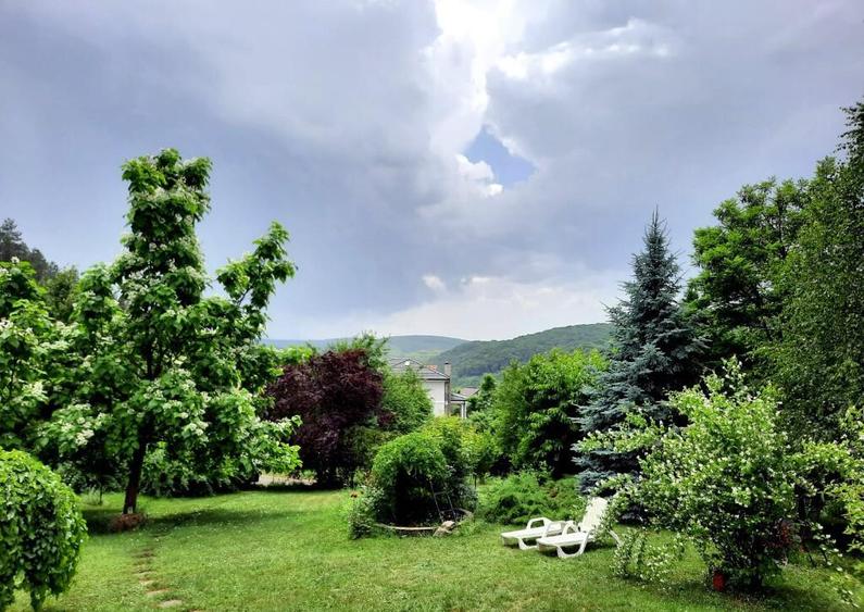 Casa individuala de lux cu piscina si teren de 4.400mp in zona VIVO - 1