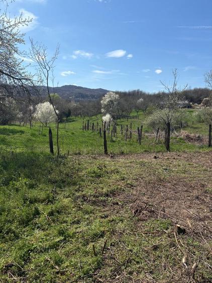 Teren Intravilan Pausesti-Maglasi, jud. Valcea - 3