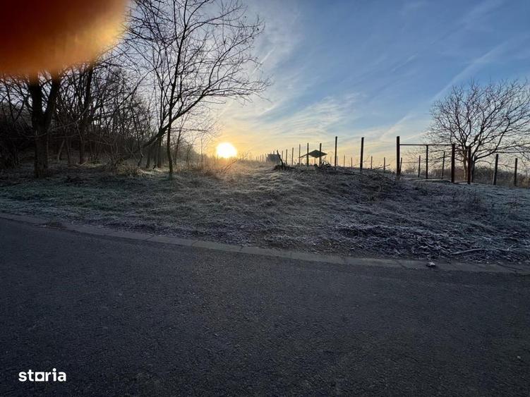 Teren de vanzare in Gusterita, cu acces asfaltat - 8
