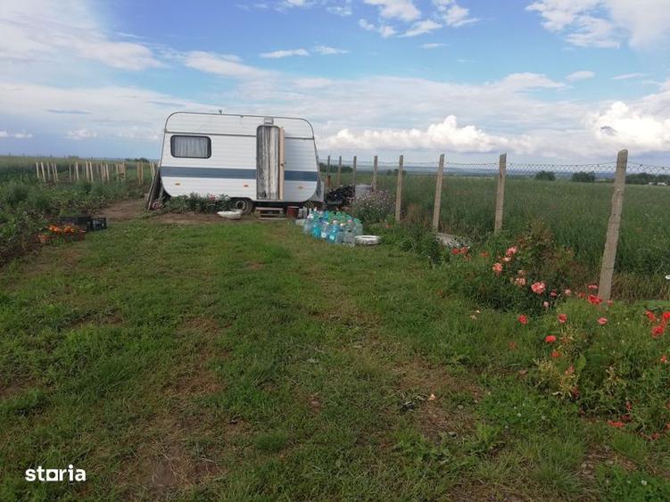 3,5 ha teren Vaculesti - 5