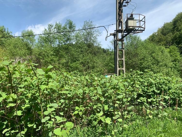 Teren de vanzare DN1. - 4