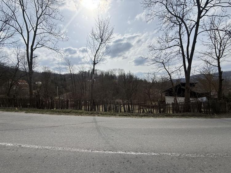 Teren intravilan la asfalt 2100 mp deschidere 21 mp la asfalt! - 5