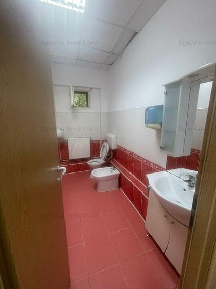 Hala 1574 mp si teren 6199 mp intre Buftea si Crevedia - 5