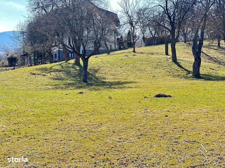 TEREN SOHODOL - UN LOC UNDE NATURA I?I DEVINE PARTENER DE INVESTI?IE - 10