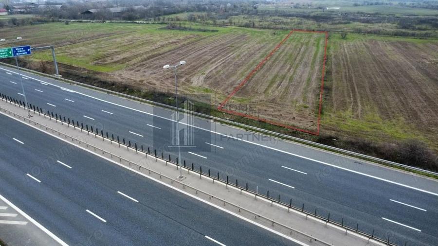 Teren 2727mp | Moara Vlasiei, Caciulati | A3 - 4