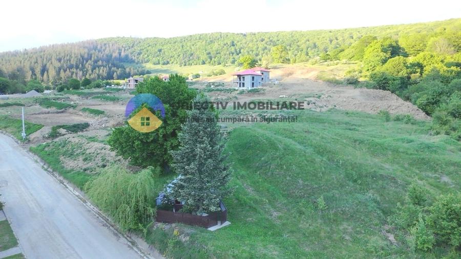 TEREN intravilan PIATRA NEAMT strada DRAGOS VODA (Valea Viei) - 7