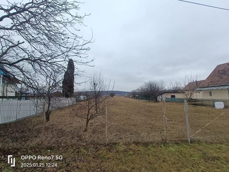 Teren de vanzare -Reghin - Iernuțeni 7000 mp - 3