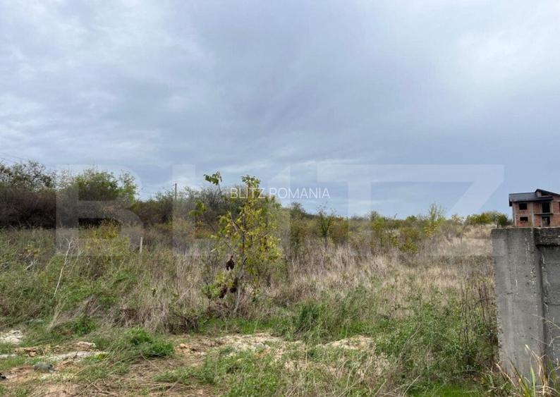 Teren 3400 mp, zona Carcea la E70/str Craiovei