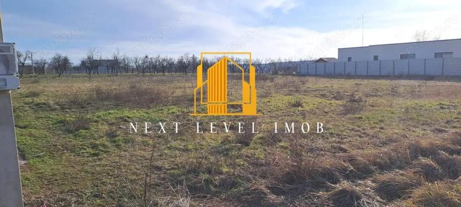 Teren Albota, Morlovani - 2