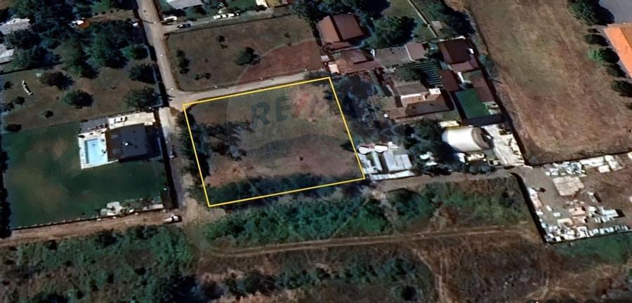 Teren Buftea 2163 mp, pret negociabil, in apropiere de DN7 si padure - 1