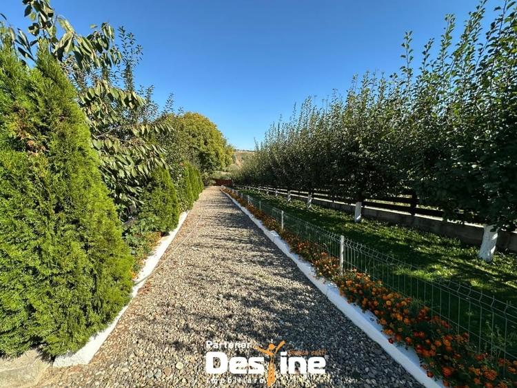 Proprietate spatioasa cu potential turistic in Bucovina Mica – Tatarusi, sat Uda - 1