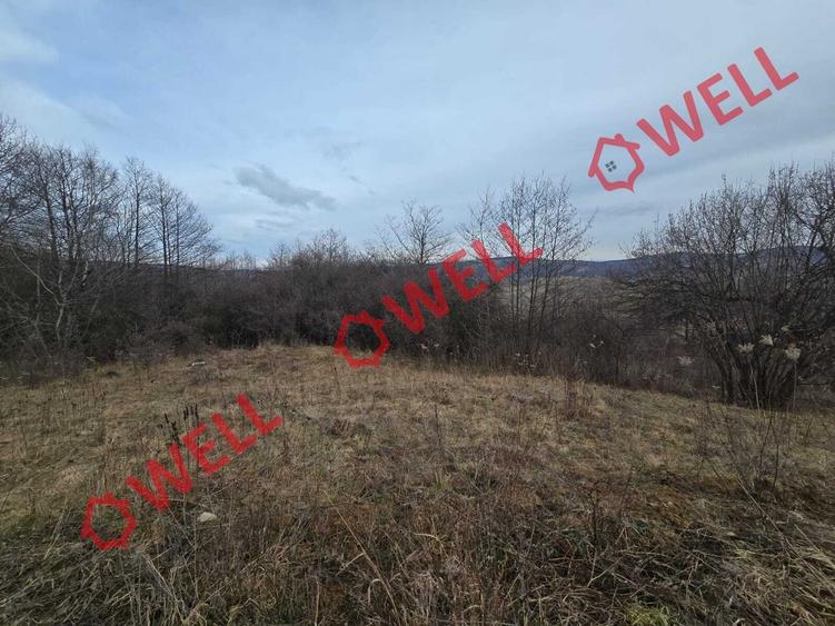 De vânzare teren parțial intravilan  în Sărămaș, pe punctul numit ,,La Cuptor,, - 6