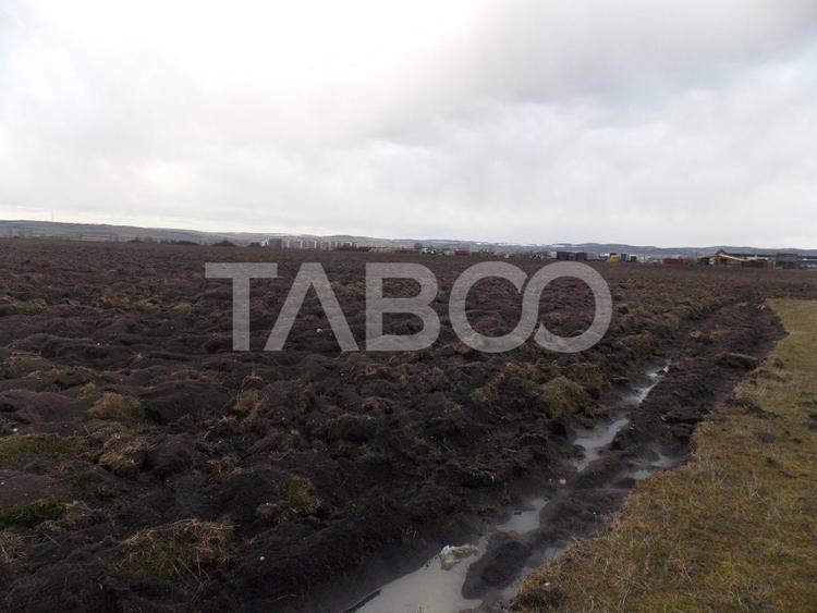 Teren intravilan de vanzare 10.000 mp in zona Industriala Vest Sibiu - 4