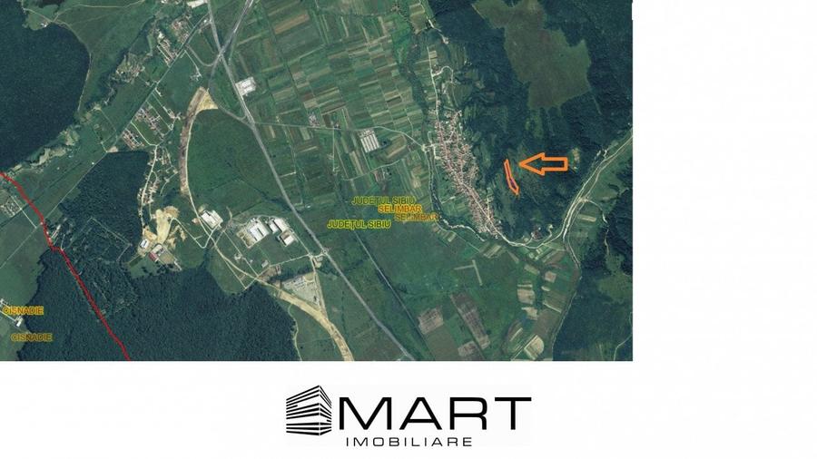 Teren extravilan 5500 mp, la padure zona Selimbar (Mohu) - 3