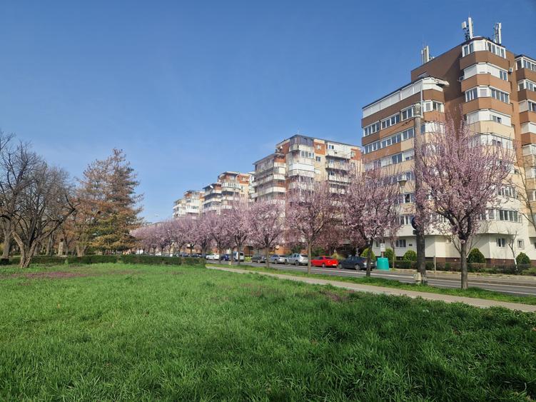 Pe cel mai frumos bulevard din oraș CORNELIU COPOSU-terasa cu vedere spre Bega - 2