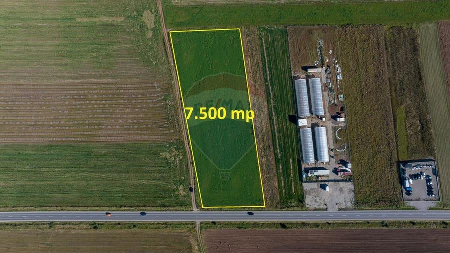 Teren comercial / industrial | 7,500mp Strada Zizinului | Tarlungeni - 6