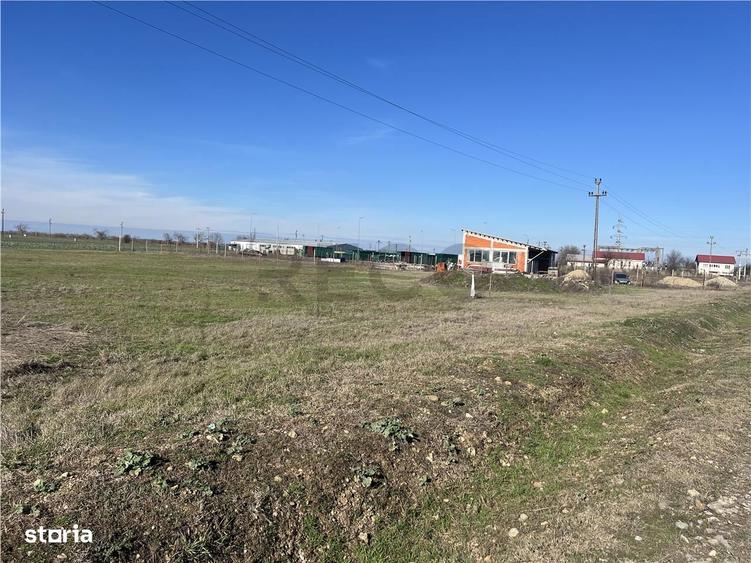 RECO teren industrial cu PUZ in Santandrei - 8