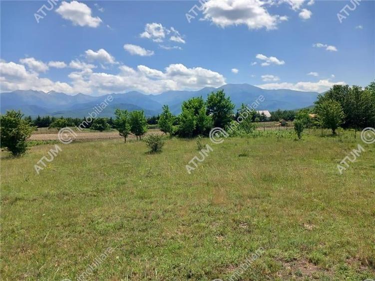 Teren intravilan 5000 mp pe Valea Avrigului, Sibiu - 6