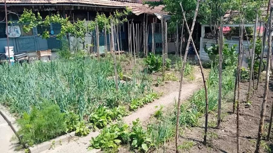 Casa cu 4 camere, 140 mp, teren 450 mp, oras Blaj - 7